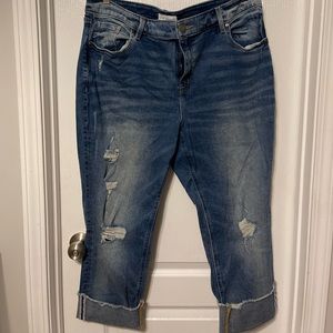 Lane Bryant Distressed Straight Crop Jean